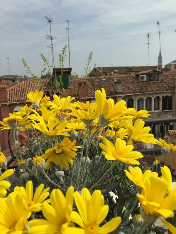 Ca' Degli Oresi Venezia Eksteriør bilde